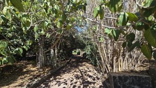 GC-Parque Botanico de Maspalomas 2025-031.jpg